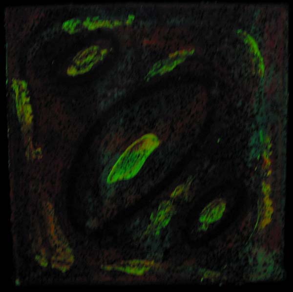image013b